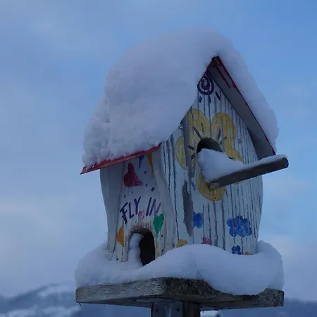 Διαμέρισμα Haus Angerl *